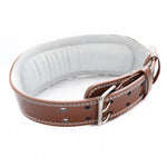 Leather Weightlifting Gym Belt